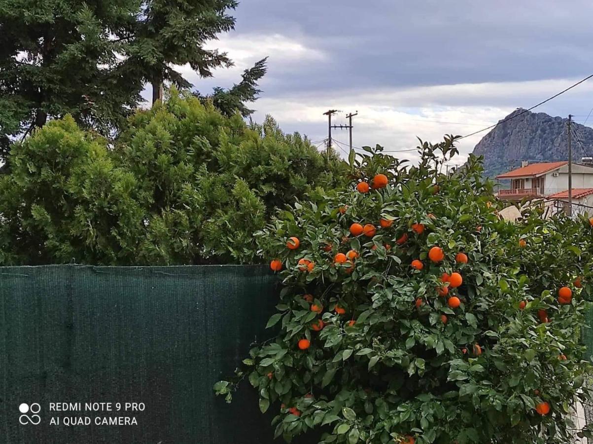 Nafplio Breeze Άνετη Διώροφη Κατοικία Από 4 Έως 9 Επισκέπτες Dış mekan fotoğraf